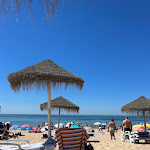 Photo n°1 de l'avis de Liset.o fait le 19/08/2022 à 11:22 sur le  Bicho D'água à Trafaria