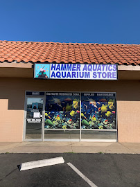 Hammer Aquatics - Photo 2 - Car repair in Menifee, CA, Moreno Valley