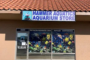 Hammer Aquatics image