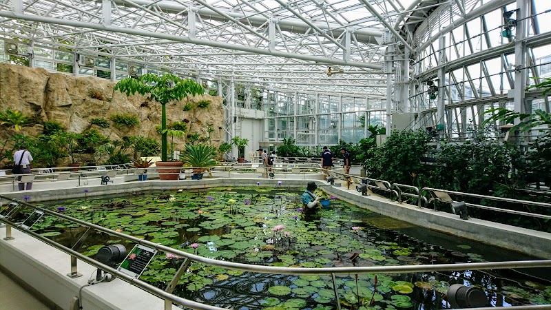 大温室 神代植物公園 東京都調布市深大寺元町 公園 公園 グルコミ