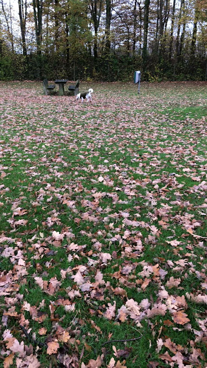 Peters Parket Service