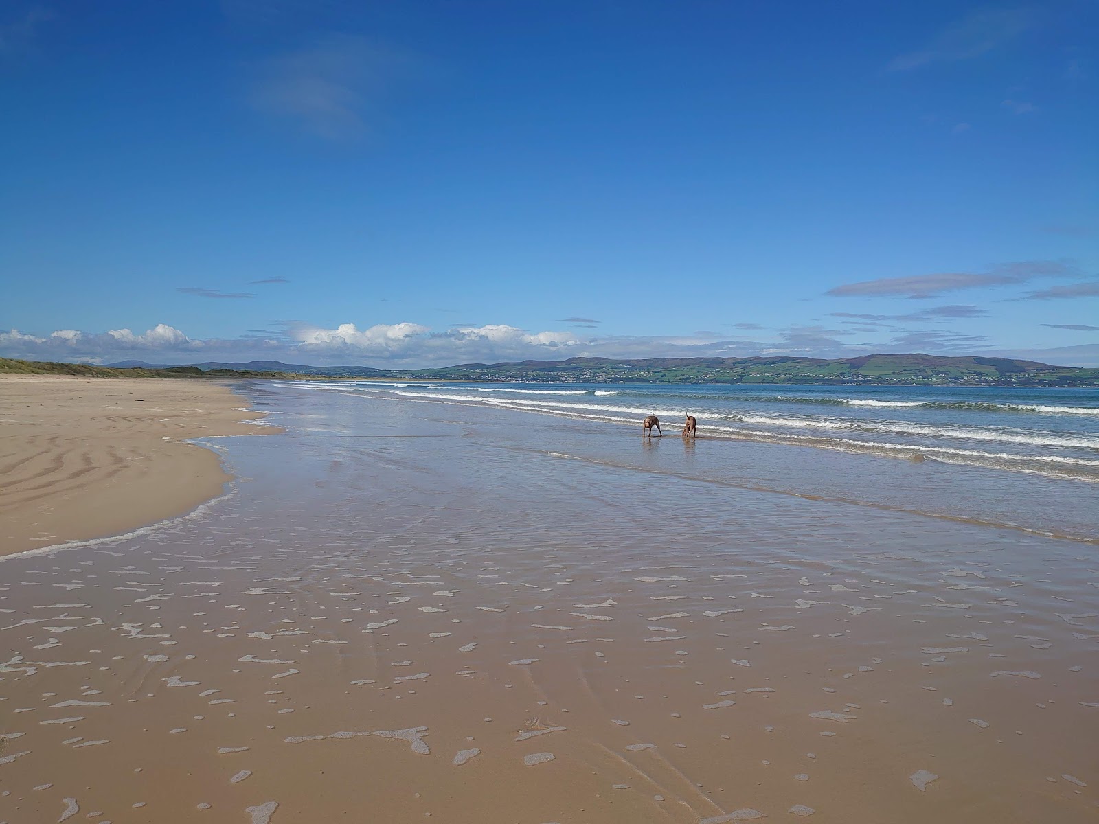 Foto de Benone Beach - bom local amigável para animais de estimação para férias