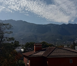 PLAZA CALZADAS photo