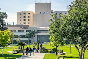 Loma Linda University School of Medicine image