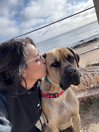 NexGen K9 Training - Photo 6 - Car repair in Vallejo, CA, Vallejo