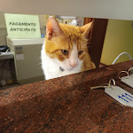 Photo n°8 de l'avis de Roberto.e fait le 16/09/2023 à 12:47 sur le  Castelfranco Hotel à Castelfranco Emilia