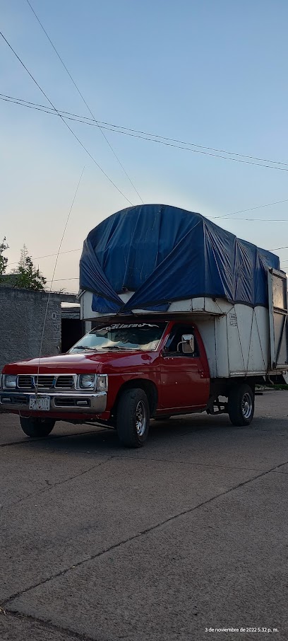 FLETES Y MUDANZAS JR. en Michoacan
