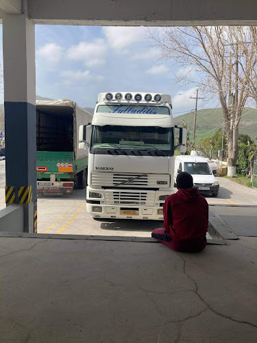 ΓΕΝΙΚΕΣ ΜΕΤΑΦΟΡΕΣ ΛΗΜΝΟΥ ΙΜΕ Ε.Π.Ε.