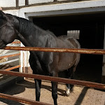 Photo n°4 de l'avis de Deniz.� fait le 30/05/2017 à 13:46 sur le  Landhotel-Ferienhof Schneider à Naumburg