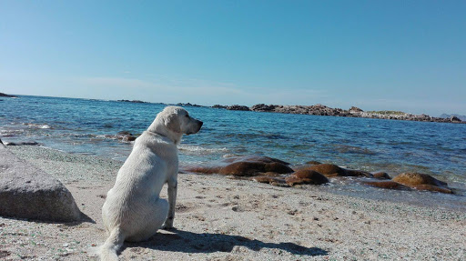 Clínica Veterinaria Gondomar en Gondomar
