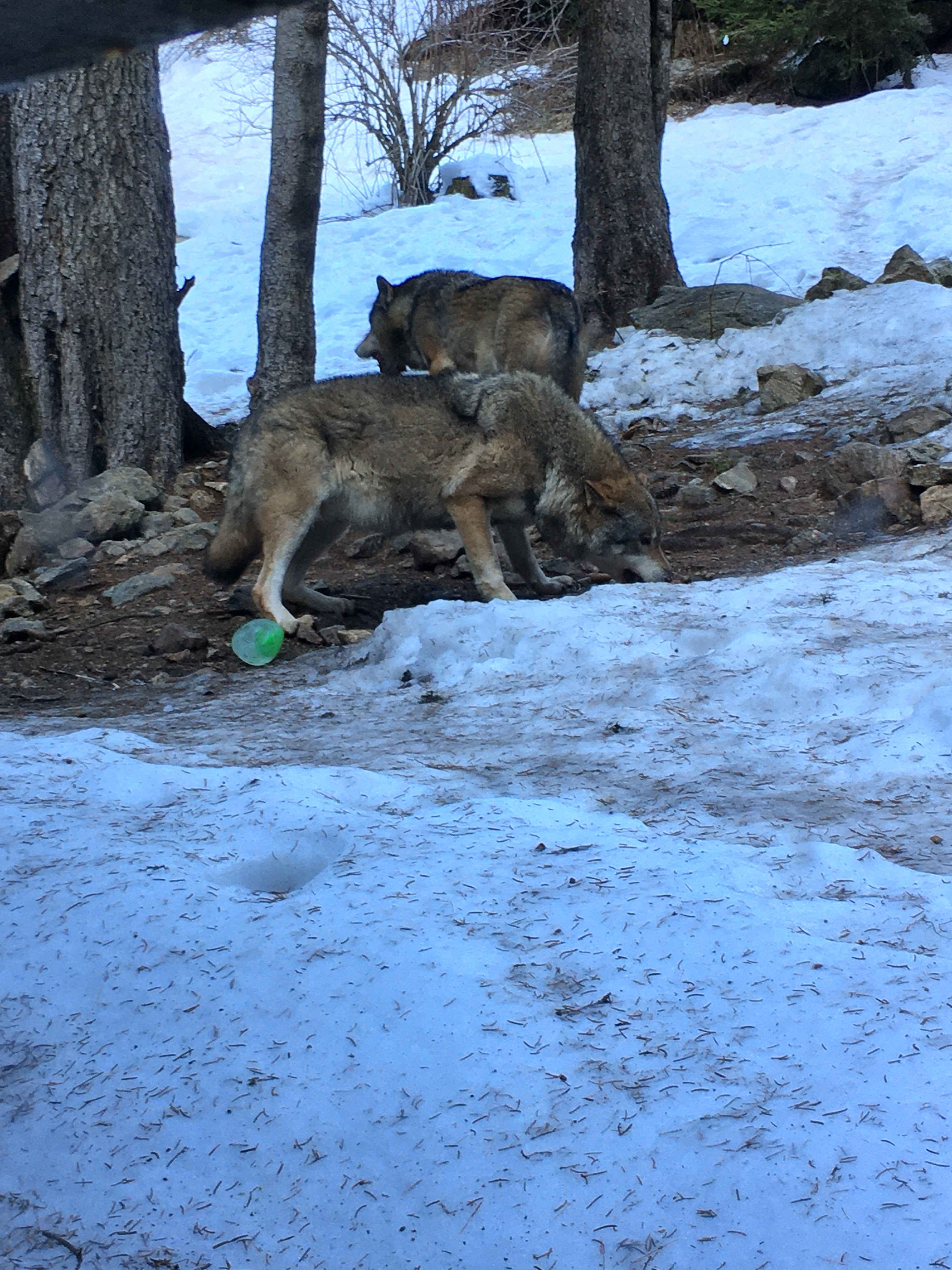 Photo n° 2 de l'avis de Soba.a fait le 28/12/2019 à 07:25
