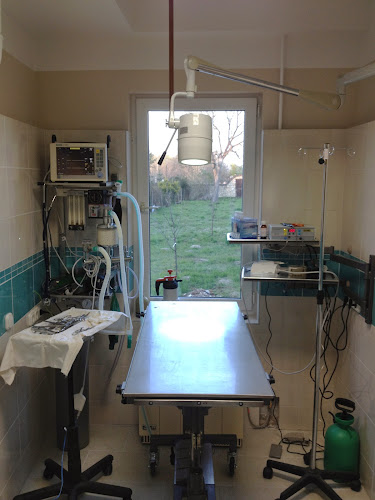 Comentarii opinii despre Pápa-Vet