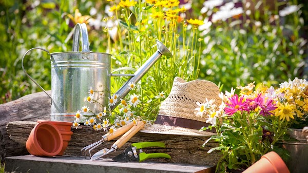 Imagen de Jardinería Górliz (1 de 2)