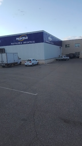 Pascelu S.L.