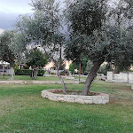 Photo n°1 de l'avis de Vito.i fait le 07/10/2018 à 16:02 sur le  Masseria Del Barone à Bitetto