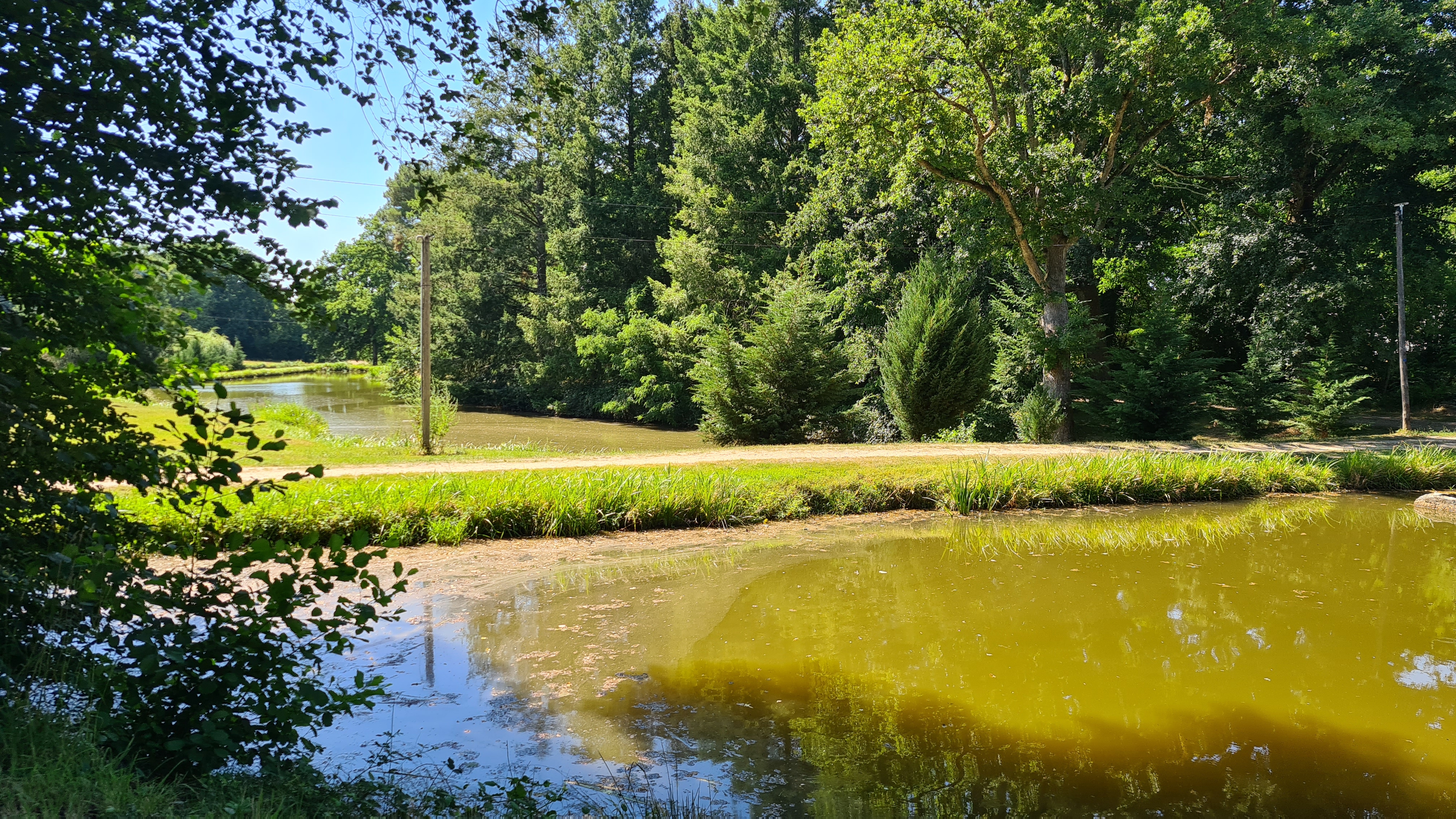 Photo n° 7 de l'avis de laurent.a fait le 17/07/2022 à 19:09