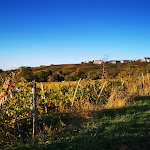 Photo n°3 de l'avis de Nicole.n fait le 02/11/2023 à 14:34 sur le  Landgasthof & Hotel Rebstock Haltingen à Weil am Rhein