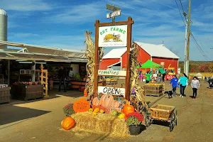 Ort Farms image