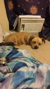 Oz Lock and Key - Car repair in Lancaster, CA, Lancaster - Rated 2.9/5