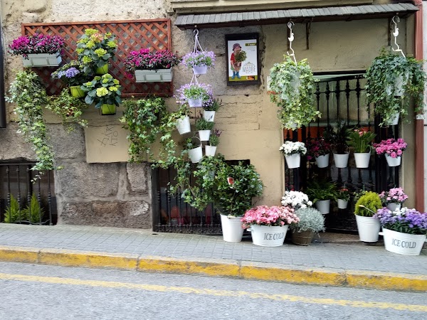 Floristería Agarimo