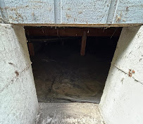 Washington Pest Services & Consultants - Photo 2 - Car repair in Lacey, WA, Olympia