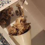 Photo n°1 de l'avis de Micaela.i fait le 29/06/2023 à 05:40 sur le  Il Fritto di paciullo Frienn' Magnann à Santa Marinella