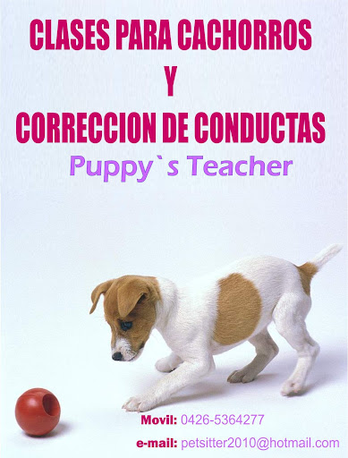 Entrenamiento Canino Puppy`s Teacher Caracas