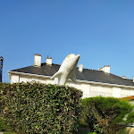 Photo n° 3 de l'avis de Cameleon.a fait le 17/08/2021 à 13:23 pour Plage de Wissant à Wissant