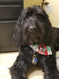 Bay Cities Lock & Safe - Photo 2 - Car repair in San Jose, CA, San Jose