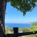 Photo n°1 de l'avis de CharChar. fait le 24/07/2022 à 15:51 sur le  Dal Patriarca à Montechiaro