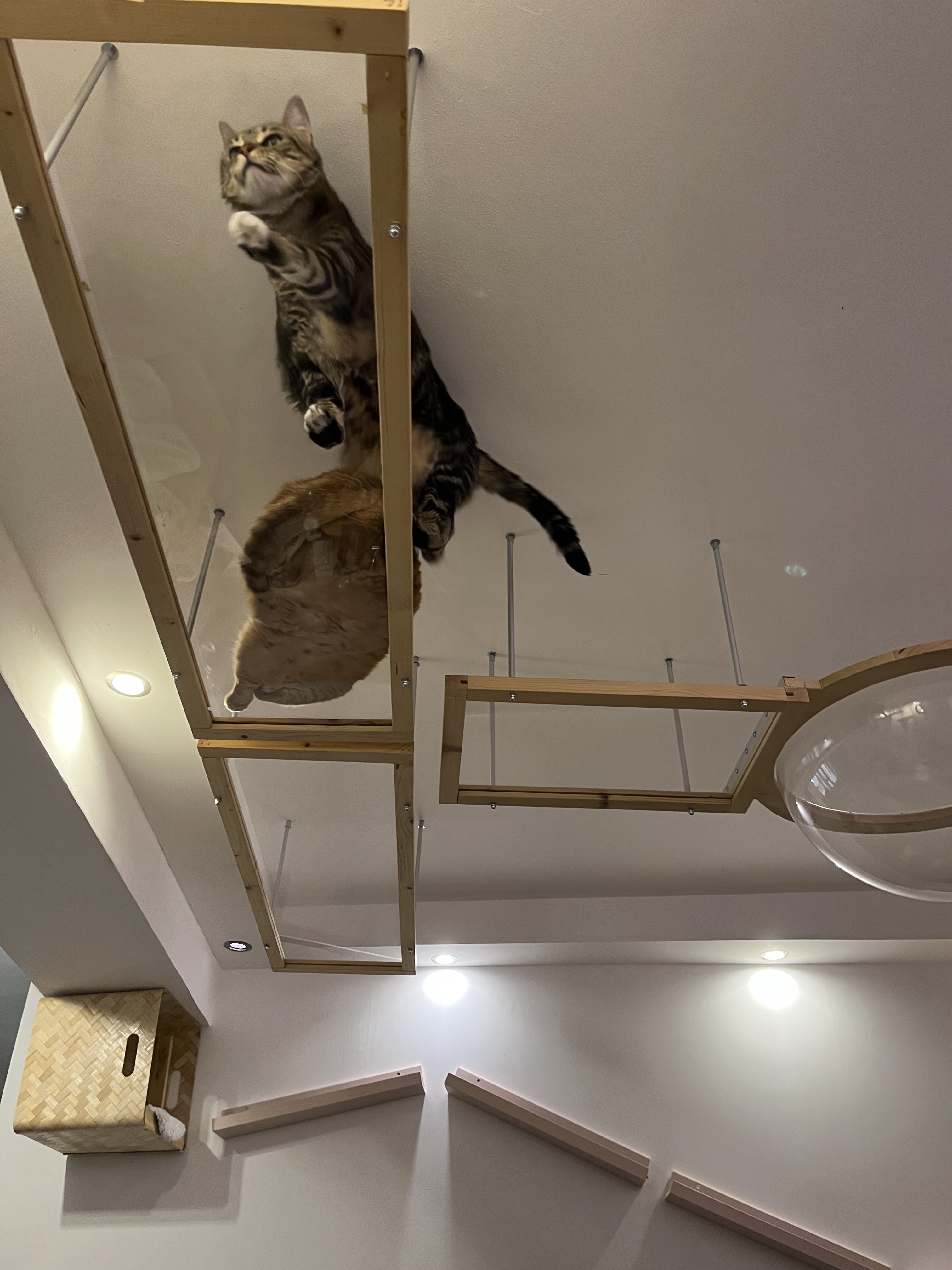 Photo n° 1 de l'avis de Léa.r fait le 23/03/2023 à 20:25