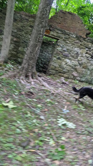 Long Pond Ironworks State Park - photo 57