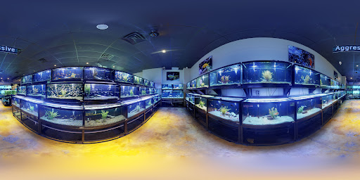 Tropical Fish Store «Fish Gallery», reviews and photos, 2909 Fountain View Dr, Houston, TX 77057, USA