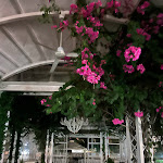 Photo n°9 de l'avis de Stefania.a fait le 09/08/2023 à 10:10 sur le  Sierra Silvana à Selva di Fasano