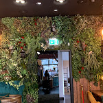 Photo n°8 de l'avis de Löwenzahn. fait le 06/09/2020 à 15:32 sur le  THE REED à Berlin