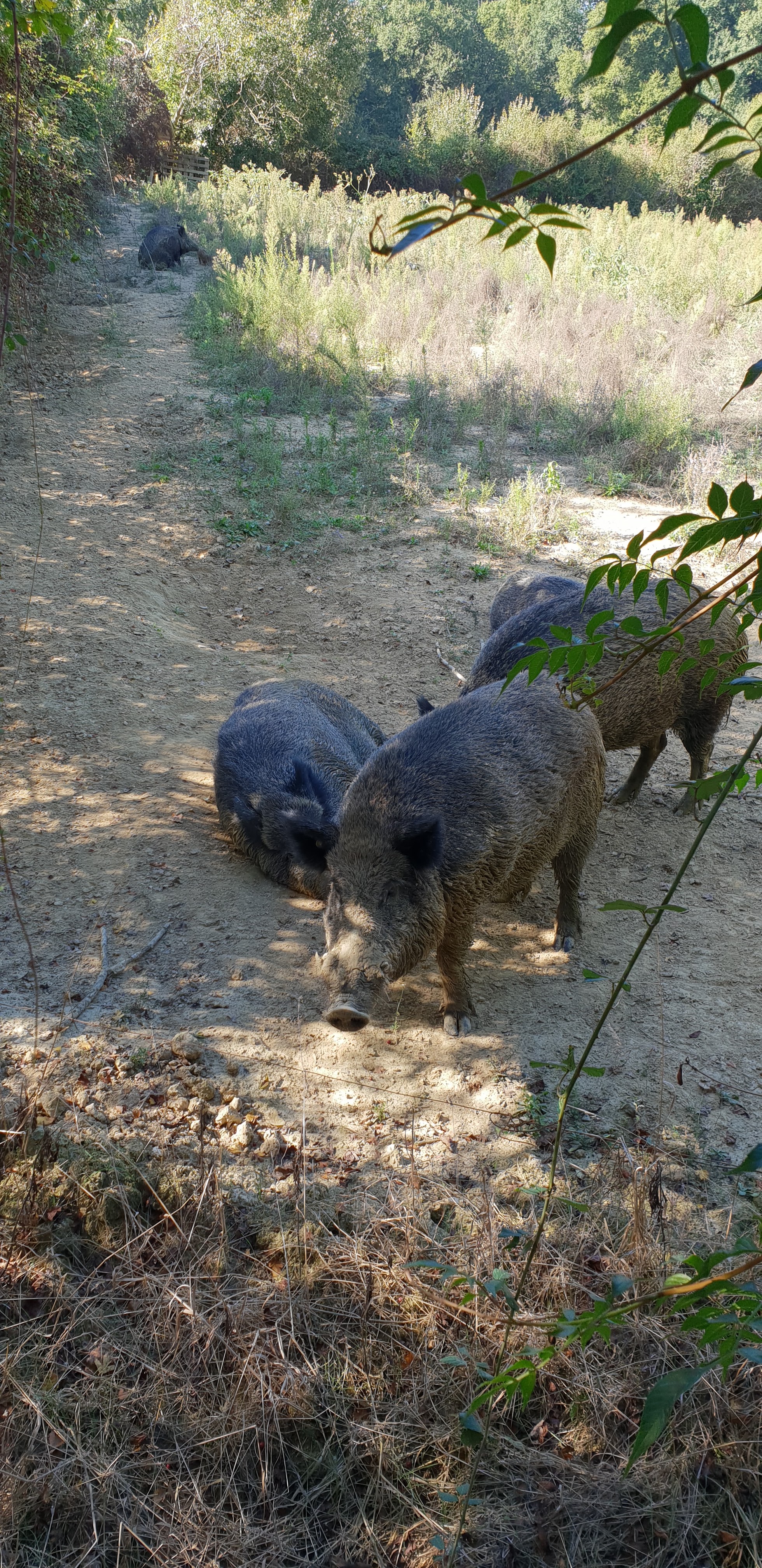 Photo n° 5 de l'avis de Stéphane.a fait le 23/09/2018 à 15:09