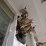 Photo n°12 de l'avis de sugni.g fait le 27/10/2023 à 11:21 sur le  Novo San Remo à Mértola