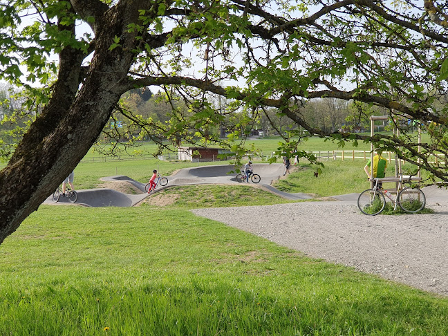 Pumptrack kleine Allmend Bern - Sportstätte