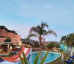 High Park Slide Club photo