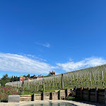 Photo n°6 de l'avis de Erica.v fait le 11/05/2024 à 21:22 sur le  Vitae di Langa à Diano d'Alba