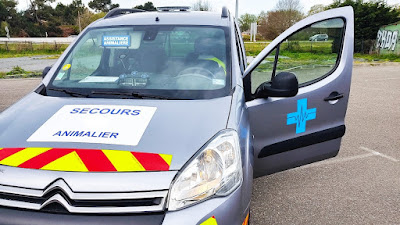 secours animalier sud bassin à Arcachon