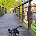 Photo n°21 de l'avis de Roderick.e fait le 04/04/2024 à 14:55 sur le  Monte Xisto Hotel Rural à Vale de Água