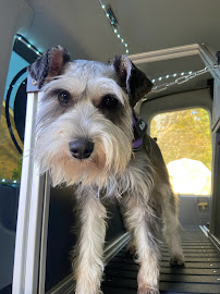 Run Rascaldyroo K-9 Mobile Gym LLC - Photo 5 - Car repair in , Winston-Salem