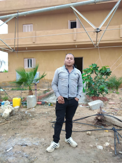 اشحار مانجو وليمون