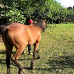 Photo n°1 de l'avis de Pedro.i fait le 16/07/2018 à 16:20 sur le  Quinta do Cabeço Trigal à 