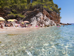 Jagodna beach'in fotoğrafı doğal alan içinde bulunmaktadır