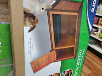 Pet Supermarket - Photo 6 - Car repair in Macon, GA, Macon