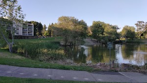 Ellis Lake Park - photo 18