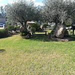 Photo n°6 de l'avis de Roby. fait le 20/12/2019 à 07:40 sur le  I Menhirs à Castiadas