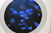 Aquatic Creations Group Inc - Photo 8 - Car repair in Raleigh, NC, Raleigh